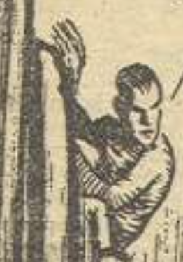 No cover image at present