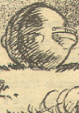 No cover image at present