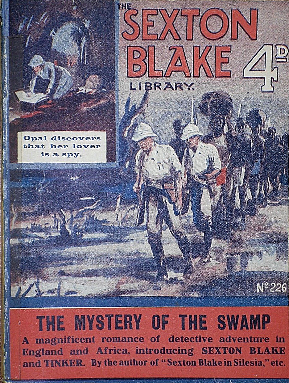 THE MYSTERY OF THE SWAMP