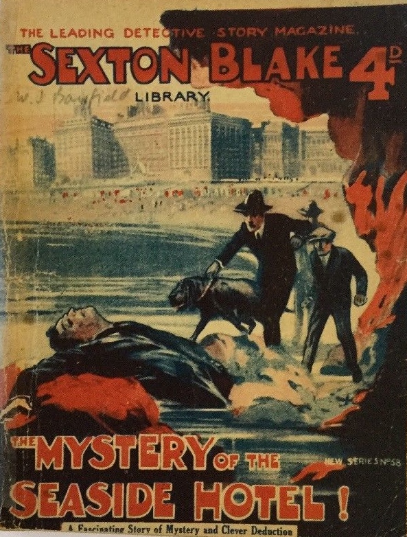 THE MYSTERY OF THE SEASIDE HOTEL