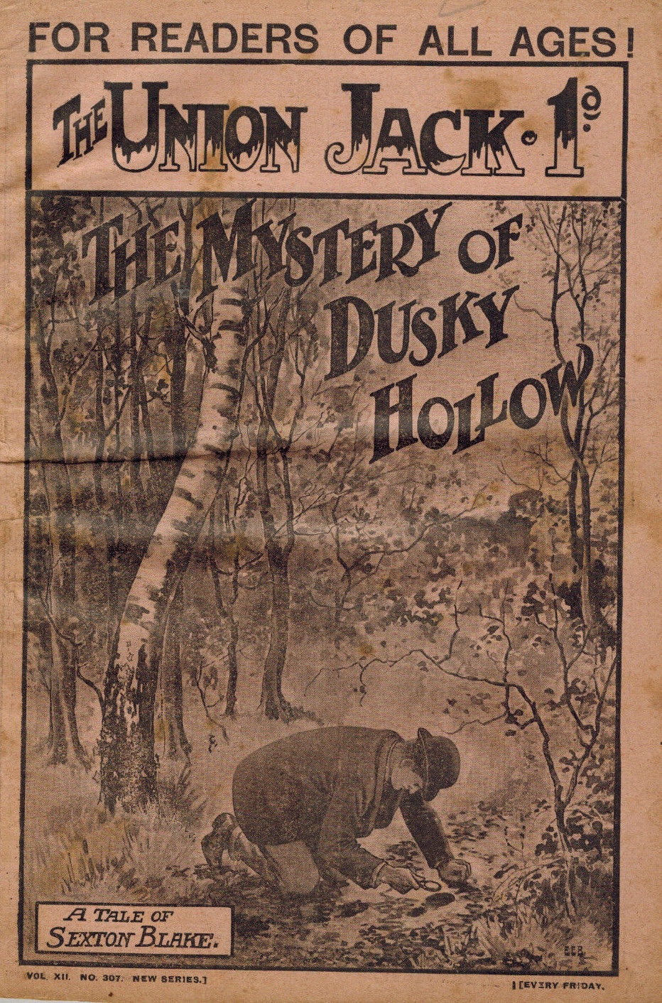 THE MYSTERY OF DUSKY HOLLOW