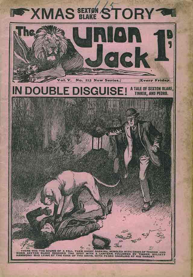 IN DOUBLE DISGUISE