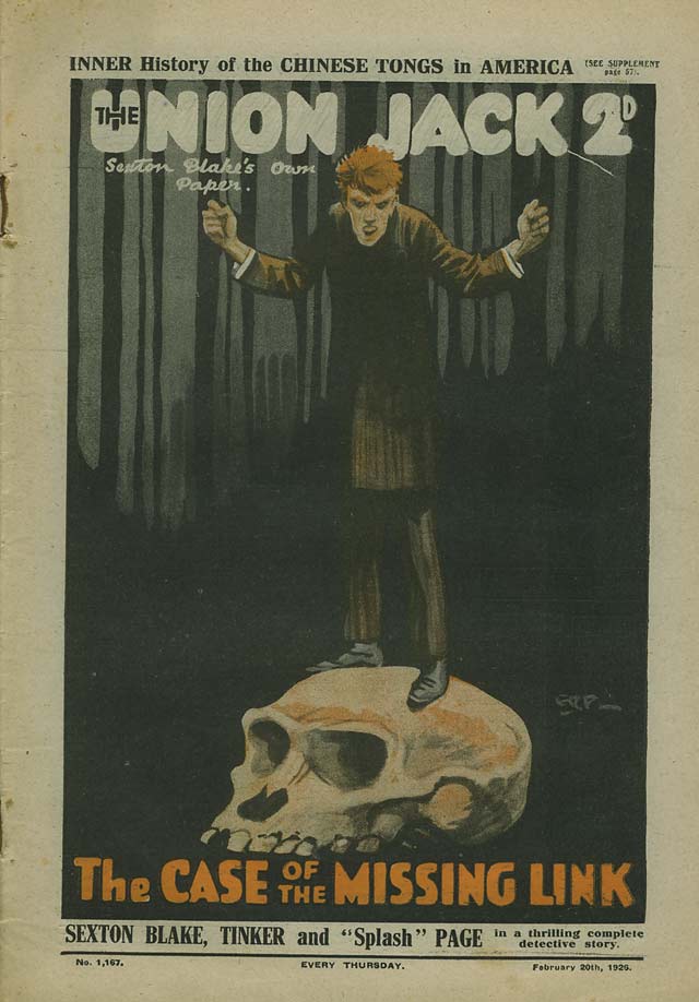 The Case of the Missing Link
