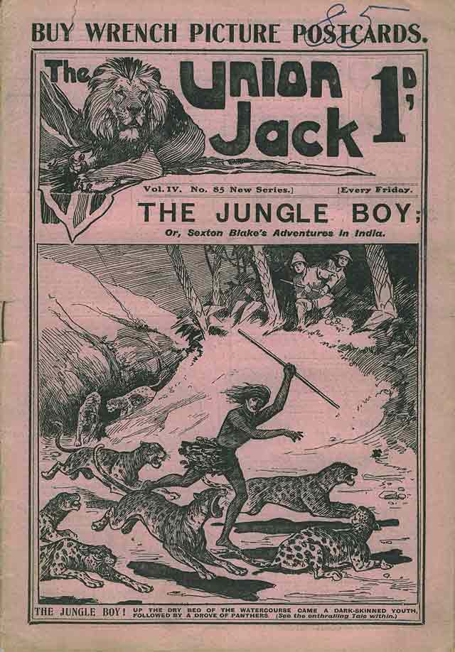 THE JUNGLE BOY