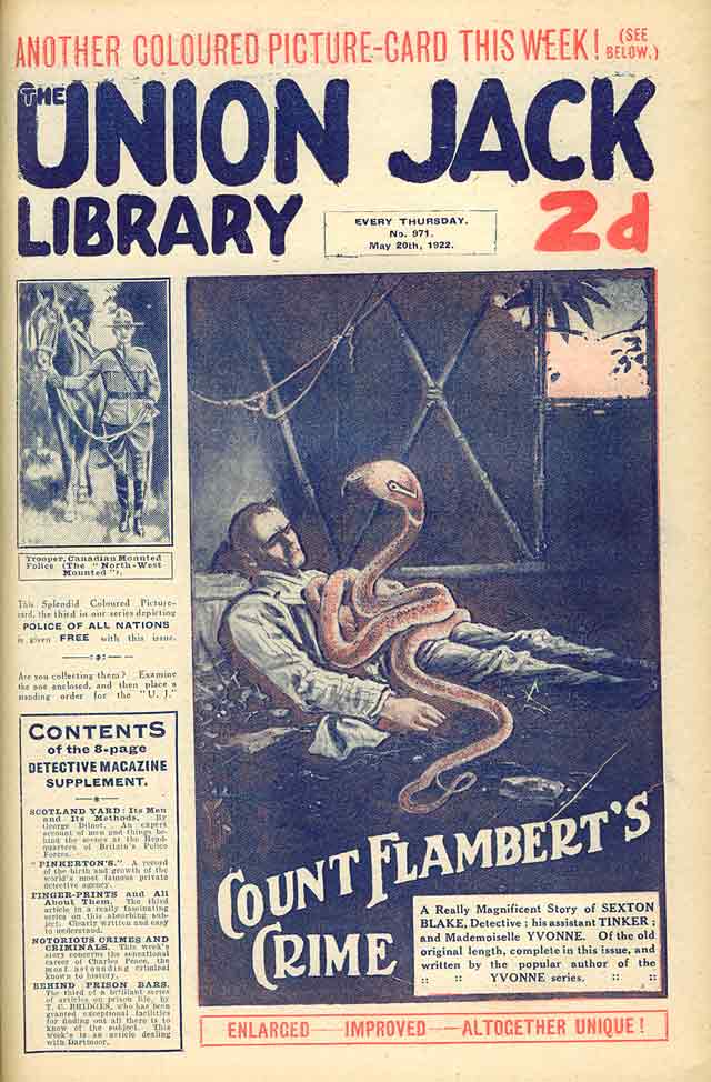 COUNT FLAMBERT'S CRIME