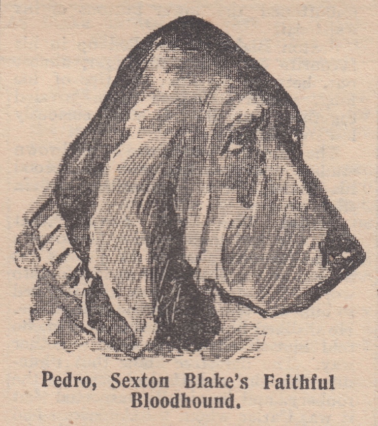 Pedro